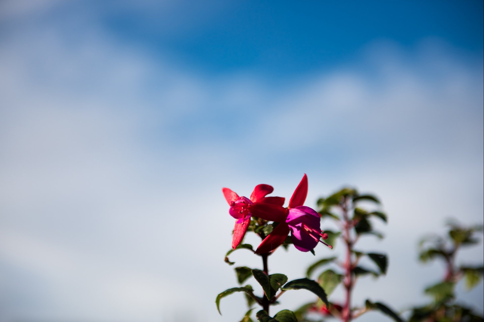 Testaufnahmen mit der Nikon D810.